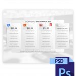 Clean White Licensing Info Boxes PSD Preview