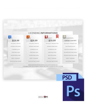 Clean White Licensing Info Boxes PSD Preview