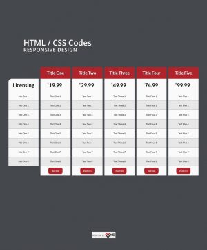 Responsive 5 Column Licensing Info Table HTML and CSS Preview